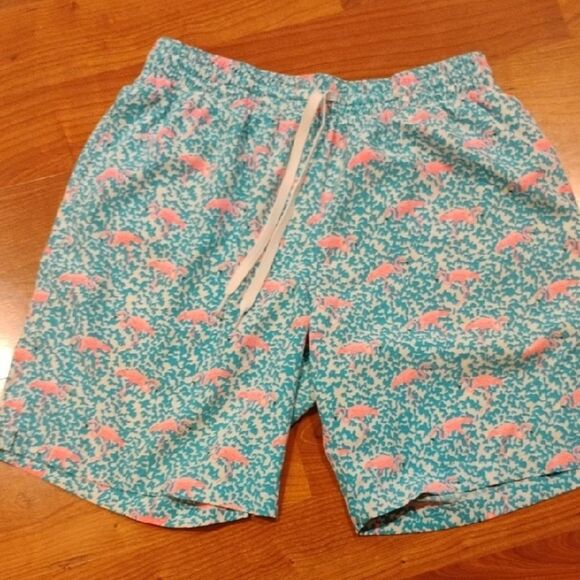 Chubbies Blue and Pink Athletic Shorts - Picture 3 of 7